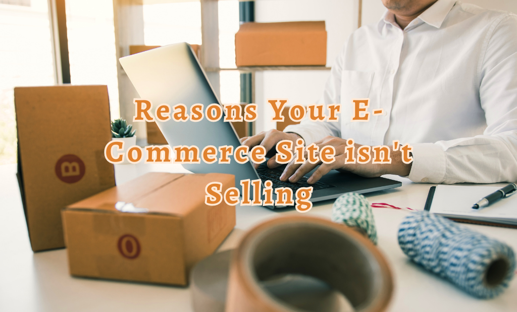 Reasons E-Commerce Site isn't Selling